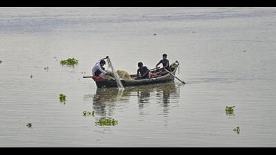 An annual 61-day fishing ban is enforced along India’s coastal waters to protect fish during their peak breeding and spawning seasons. (PTI/Representative) An annual 61-day fishing ban is enforced along India’s coastal waters to protect fish during their peak breeding and spawning seasons. (PTI/Representative)