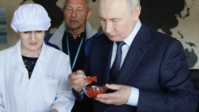 Russian President Vladimir Putin tastes products as he visits the Yasny fish processing complex at Kitovoye village on the Iturup Island, the largest of the Kuril Islands. (Gavriil Grigorov/Pool Sputnik Kr) Russian President Vladimir Putin tastes products as he visits the Yasny fish processing complex at Kitovoye village on the Iturup Island, the largest of the Kuril Islands. (Gavriil Grigorov/Pool Sputnik Kr)