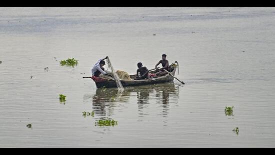 An annual 61-day fishing ban is enforced along India’s coastal waters to protect fish during their peak breeding and spawning seasons. (PTI/Representative)