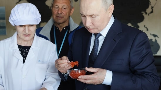 Russian President Vladimir Putin tastes products as he visits the Yasny fish processing complex at Kitovoye village on the Iturup Island, the largest of the Kuril Islands. (Gavriil Grigorov/Pool Sputnik Kr)