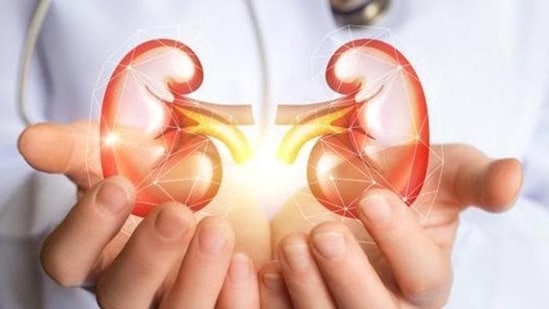 Kidney Transplant vs Dialysis: Why Organ Donation Matters More Than Ever