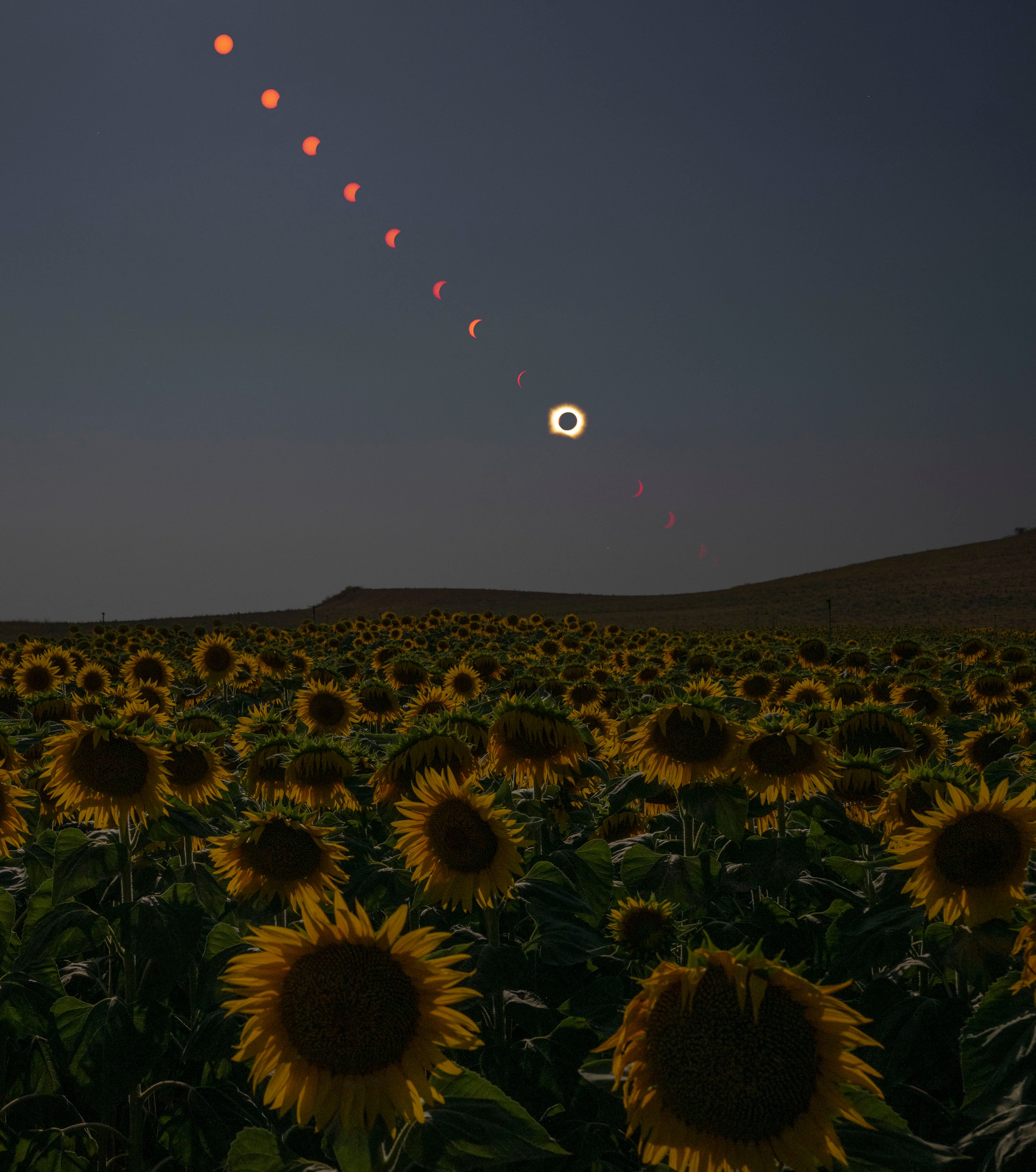 This handout composite image from Nasa shows the progression of a total solar eclipse over Spain. (AFP Photo) This handout composite image from Nasa shows the progression of a total solar eclipse over Spain. (AFP Photo)