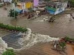 Agricultural land has also suffered damage. (HT Photo for representation)