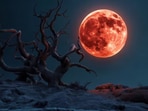 August Lunar Eclipse 2026
