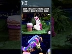 Over 3 Million Flowers Adorn Israel's Biggest-Ever Floral Show In Stunning Display