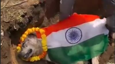 Screengrab of the video shot in Bilaspur.