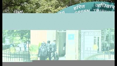 The NGT’s principal bench appointed the Deputy Commissioner of Jhajjar as the nodal officer and ordered submission of a report based on its findings within eight weeks. (Hindustan Times) The NGT’s principal bench appointed the Deputy Commissioner of Jhajjar as the nodal officer and ordered submission of a report based on its findings within eight weeks. (Hindustan Times)
