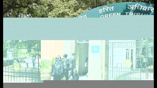 The NGT’s principal bench appointed the Deputy Commissioner of Jhajjar as the nodal officer and ordered submission of a report based on its findings within eight weeks. (Hindustan Times)