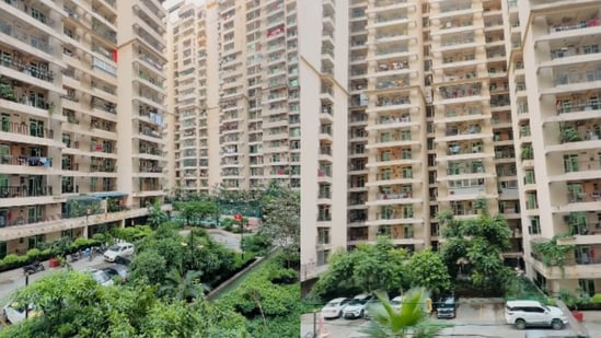 A Noida woman reflected on loneliness in high-rise apartments. (Instagram/millennial_moma)