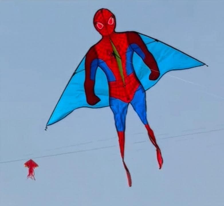 Imagination soars high with this kite design as it gives wings to the season’s favourite superhero. Price: ₹40 (small), ₹60 (medium) and ₹110 (large). Imagination soars high with this kite design as it gives wings to the season’s favourite superhero. Price: ₹40 (small), ₹60 (medium) and ₹110 (large).