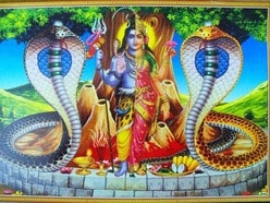 নাগপঞ্চমী ২০২৬র তিথি ১৬ আগস্ট নাকি ১৭ আগস্ট! পুজোর সঠিক তারিখ তিথি দেখে নিন