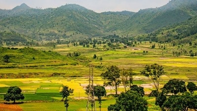 అరకు అరకు