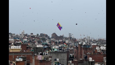 Police said that on Independence Day, many teams conducted a special drive against the manjha. (Ishant Chauhan/Hindustan Times) Police said that on Independence Day, many teams conducted a special drive against the manjha. (Ishant Chauhan/Hindustan Times)
