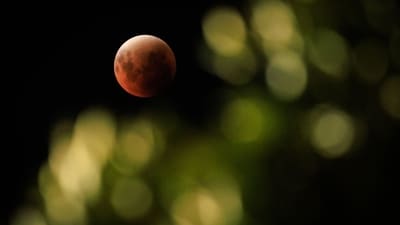 An astrologer shares best rituals to practise during the August Lunar eclipse 2026. An astrologer shares best rituals to practise during the August Lunar eclipse 2026.