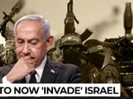 Hamas has returned to Egypt for high-stakes negotiations as Donald Trump's 15-point Gaza roadmap faces a crucial test.