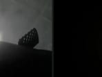 SpaceX Falcon 9 rocket's first stage landed.