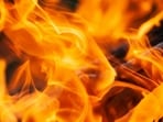 A vegetation fire burning near Sorrento Valley in San Diego has led to multiple road closures and evacuations.