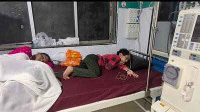 Dead lizard in birthday cake leaves 11 ill, three children in ICU in Nalasopara Dead lizard in birthday cake leaves 11 ill, three children in ICU in Nalasopara