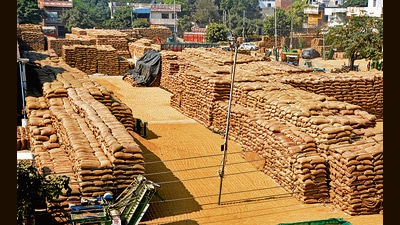 Punjab has 271 lakh tonnes of foodgrain stocks against total capacity of 180 lakh tonnes. (ANI File) Punjab has 271 lakh tonnes of foodgrain stocks against total capacity of 180 lakh tonnes. (ANI File)