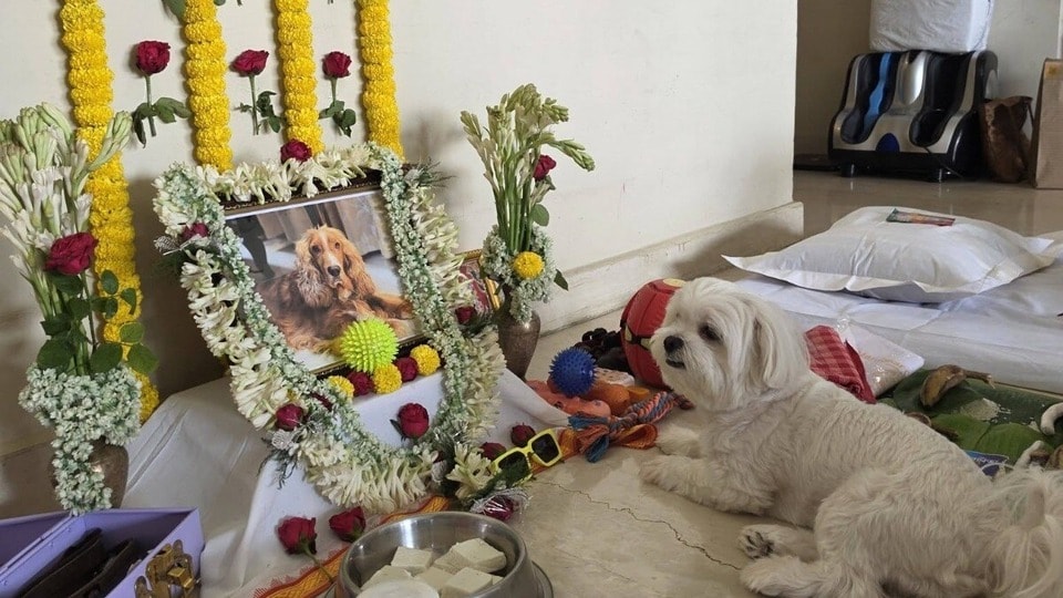 বাবলার শেষকৃত্যের দিন আবেগতাড়িত অঙ্কুশ