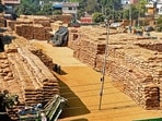 Punjab has 271 lakh tonnes of foodgrain stocks against total capacity of 180 lakh tonnes. (ANI File)