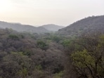 Justice-oriented forest governance model must recognise circularity — the ecological rule that every right over a forest must carry a responsibility to sustain its regeneration.