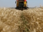 Agriculture ministry data show kharif crops were sown over an area about 2% lower than a year earlier as of August 14.