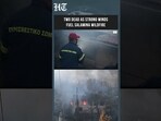 Two Dead As Strong Winds Fuel Fast-Spreading Wildfire On Greece's Salamina Island