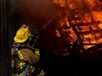 fast-moving wildfire in Tok, Alaska has prompted evacuation orders. (Unsplash/ Representational)