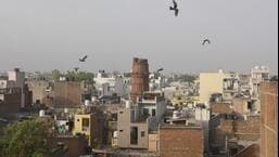 3 complaints sent to Shahdara SDM on illegal groundwater extraction: DJB tells NGT