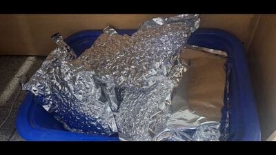 Customs officials conducted a detailed search and recovered 11.525 kg of hydroponic weed (ganja), according to the statement. (HT Photo)