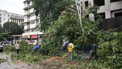 Mumbai, India - Aug. 17, 2026: A massive tree fell on four vehicles, two people were injured in the incident, near B-2 Metro Station in Churchgate in Mumbai, India, on Monday, August 17, 2026. (Photo by Anshuman Poyrekar/Hindustan Times) (Anshuman Poyrekar/HT Photo)
