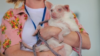 Another picture of Pinky. (Getty Images via AFP)
