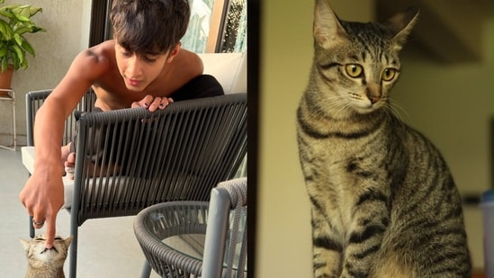 Kiran Rao bids emotional farewell to beloved cat Miri with pictures of her son Azad and their pet. 