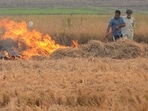 Key kharif pulses , particularly urad and tur, along with oilseeds like soybean, are taking an immediate hit during critical vegetative and flowering stages due to a strong El Nino effect.