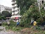 Mumbai, India - Aug. 17, 2026: A massive tree fell on four vehicles, two people were injured in the incident, near B-2 Metro Station in Churchgate in Mumbai, India, on Monday, August 17, 2026. (Photo by Anshuman Poyrekar/Hindustan Times) (Anshuman Poyrekar/HT Photo)