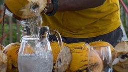 ‘People are being scammed’: Founder sparks debate over Bengaluru’s coconut water prices