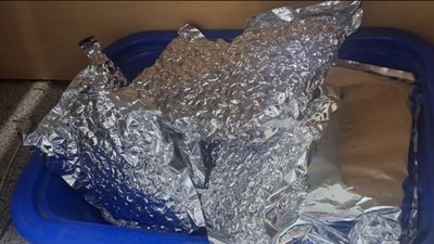 Customs officials conducted a detailed search and recovered 11.525 kg of hydroponic weed (ganja), according to the statement (HT Photo) Customs officials conducted a detailed search and recovered 11.525 kg of hydroponic weed (ganja), according to the statement (HT Photo)