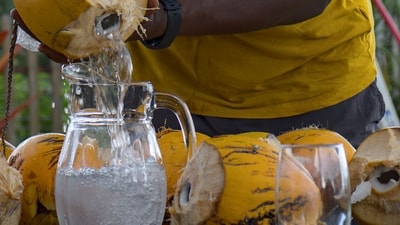 The founder’s post on coconut water prices in Bengaluru has prompted mixed reactions. (Representational image). (Pexels) The founder’s post on coconut water prices in Bengaluru has prompted mixed reactions. (Representational image). (Pexels)