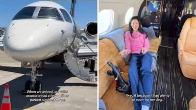Snippets from a video of “plane shopping”. (Instagram/@beccaxbloom) Snippets from a video of “plane shopping”. (Instagram/@beccaxbloom)
