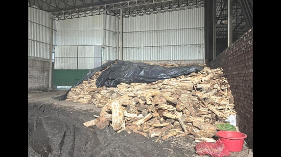 Khair wood pile seized by the Forest department in Hoshiarpur’s kattha manufacturing factory. (Harpreet Kaur/HT Photo)