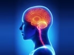 Recovery aids healing, says psychologist Sarah Hatwalne.