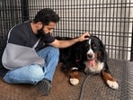 Jr NTR's pet dog Bagheera died recently and the actor got emotional over it.