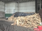 Khair wood pile seized by the Forest department in Hoshiarpur’s kattha manufacturing factory. (Harpreet Kaur/HT Photo)