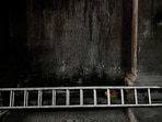 The test is not whether a picture is well composed. It is whether you are actually interested in telling something through it, or only about making your presence felt. A ladder left lying flat against a soot-blackened wall, something small and dried caught between its rungs, is not the kind of photograph anyone posts under a festival’s name. It asks nothing of the viewer except to notice it was there.