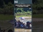 ‘Risk of Accident’: Assam Students Struggle to Reach School After Bridge Damage