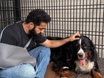 Jr NTR with Bagheera.