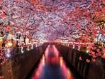 Photogenic destinations that will make your travel album stand out.