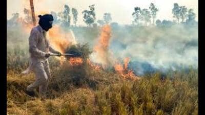 The state action plan says the primary reason behind cultivators resorting to paddy stubble burning is the narrow window between paddy harvesting cycle in October-November and sowing of the next crop. (HT File) The state action plan says the primary reason behind cultivators resorting to paddy stubble burning is the narrow window between paddy harvesting cycle in October-November and sowing of the next crop. (HT File)
