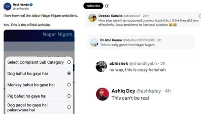 Screengrab of the complaint portal.